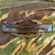 Original U.S. Vietnam War US Army Special Forces Vietnamese Tigerstripe Camouflage Boonie “Cowboy” Hat With CIB, Green Beret Insignia and Paratrooper Wings Original Items