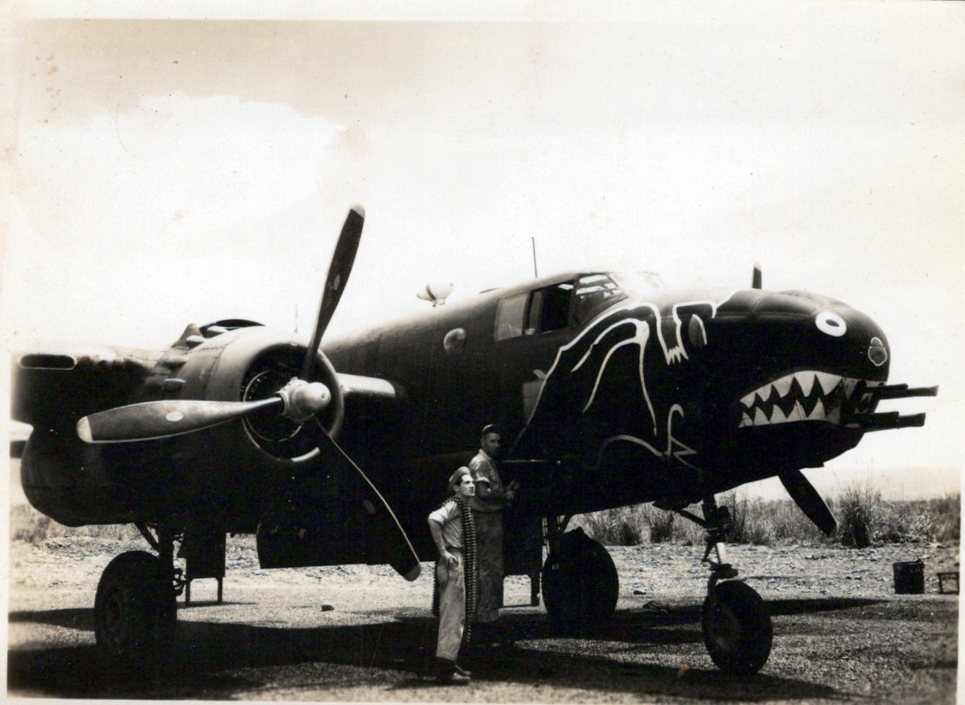 Original U.S. WWII B-17, B-24, & Other Bomber Aircraft Nose Art Photog ...