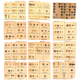 Original French WWI Button Collection with 12 Boards with Identification - 242 Buttons Total