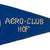 Original German WWII DLV Air Sports Association "AERO-CLUB HOF" Glider Pennant - Deutschen Luftsport-Verbandes Original Items